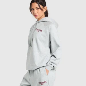 COLLEGIATE LIFESTYLE HOODIE
