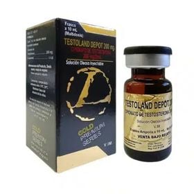 LANDERLAN TESTOLAND DEPOT 200 MG X 10 ML (CIPIONATO)