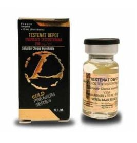 LANDERLAN TESTENAT DEPOT 10 ML (ENANTATO)