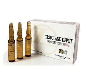 LANDERLAN TESTOLAND DEPOT 200